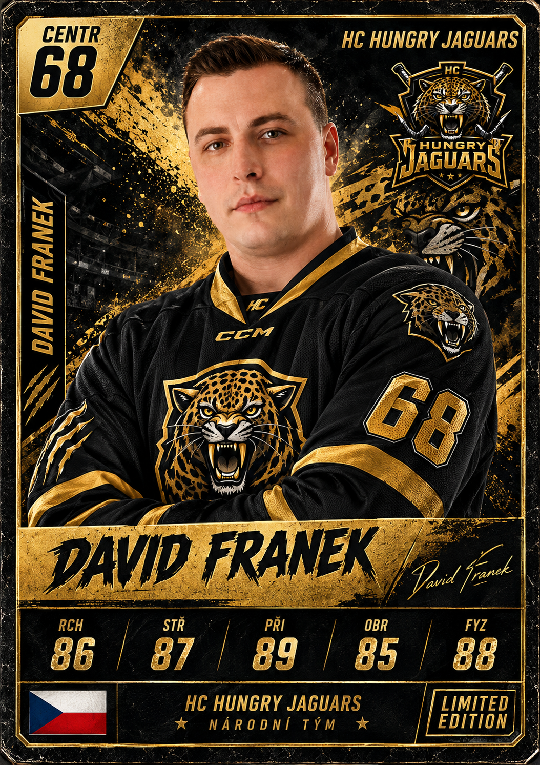 David Franek