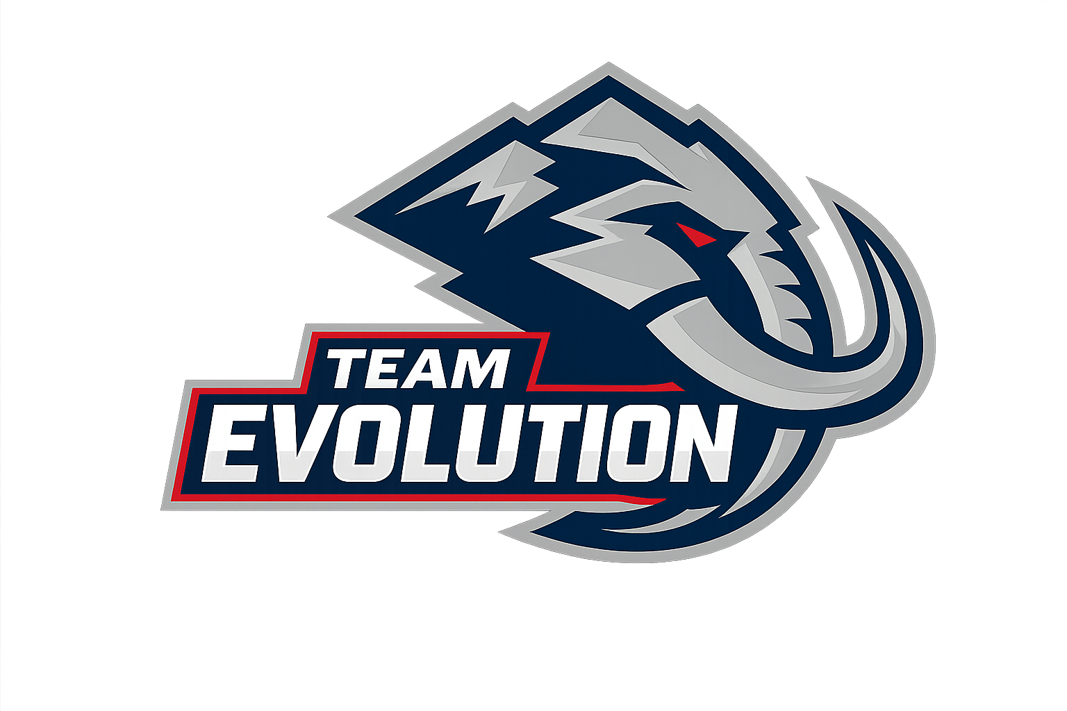 TEAM EVOLUTION